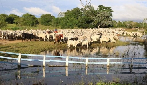 Foto- Divulgação