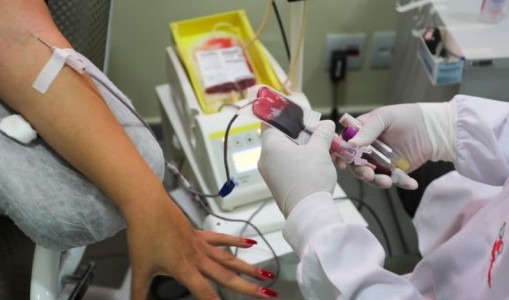 doação_sangue-768x430-730x430