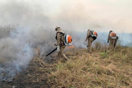 Bombeiros combatem incêndio na região do Abobral - Divulgação / Governo