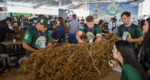 Laguna Carapã realiza o 25º Concurso Pé de Soja e comemora investimentos em infraestrutura 