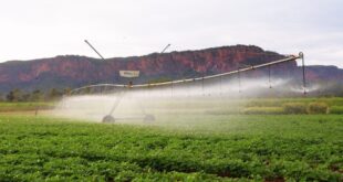 Pantanal Tech MS se consolida como vitrine do agro sustentável, fomento tecnológico e economia criativa