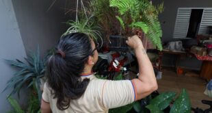 Contra o mosquito, todos do mesmo lado: Mato Grosso do Sul realiza ‘Dia D’ de Combate à Dengue