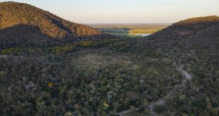 Para preservar o Pantanal, podutores rurais têm ações de conservação remuneradas por programa do Governo de MS