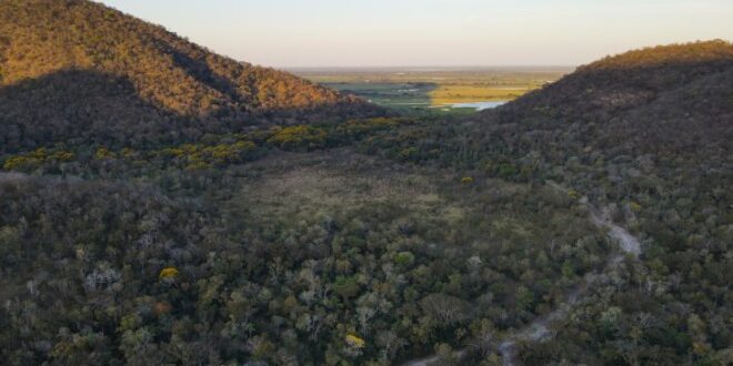 Para preservar o Pantanal, podutores rurais têm ações de conservação remuneradas por programa do Governo de MS